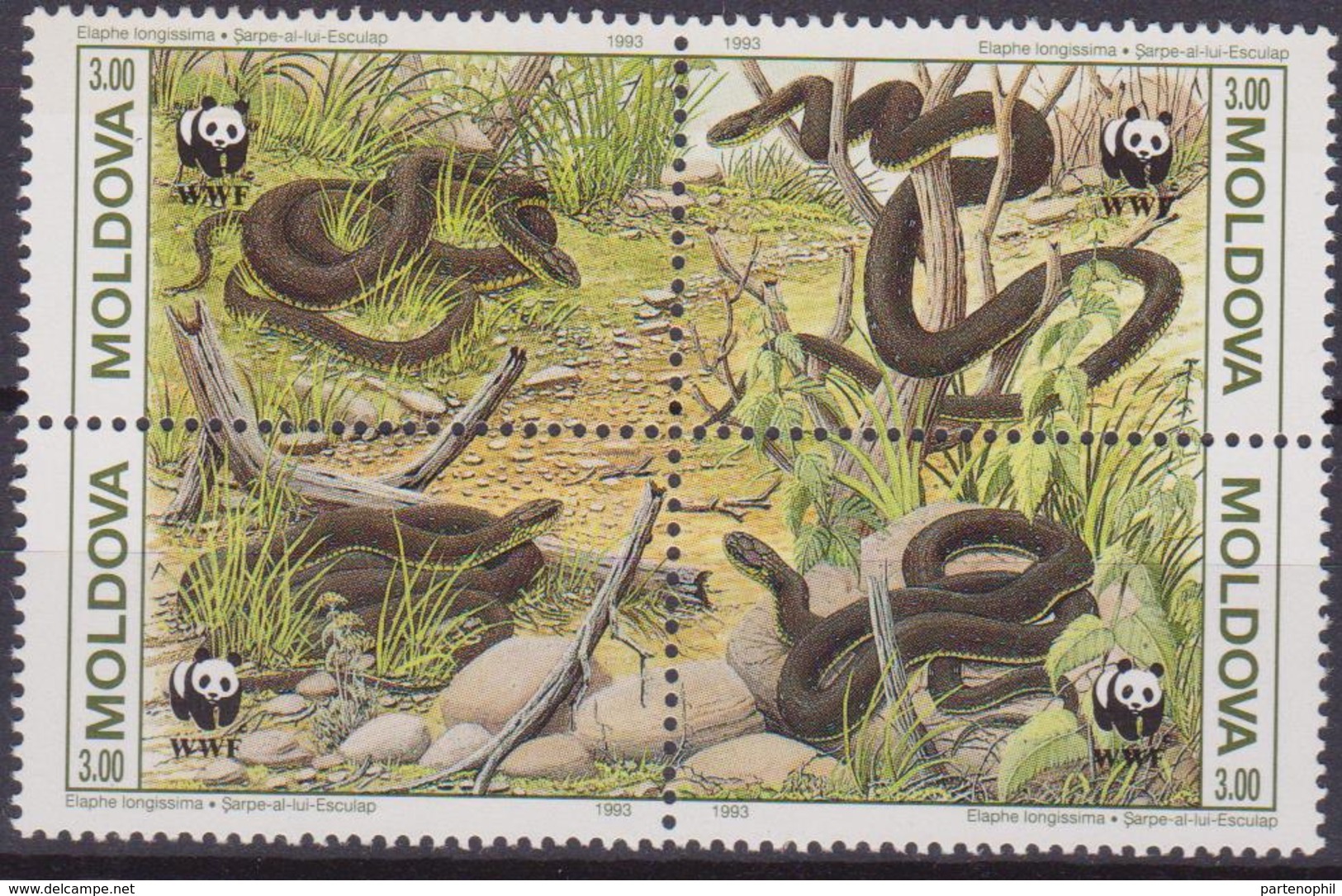 MOLDOVA 1993 SNAKES MOLDOVA SERPENTI  WWF MNH - Unused Stamps