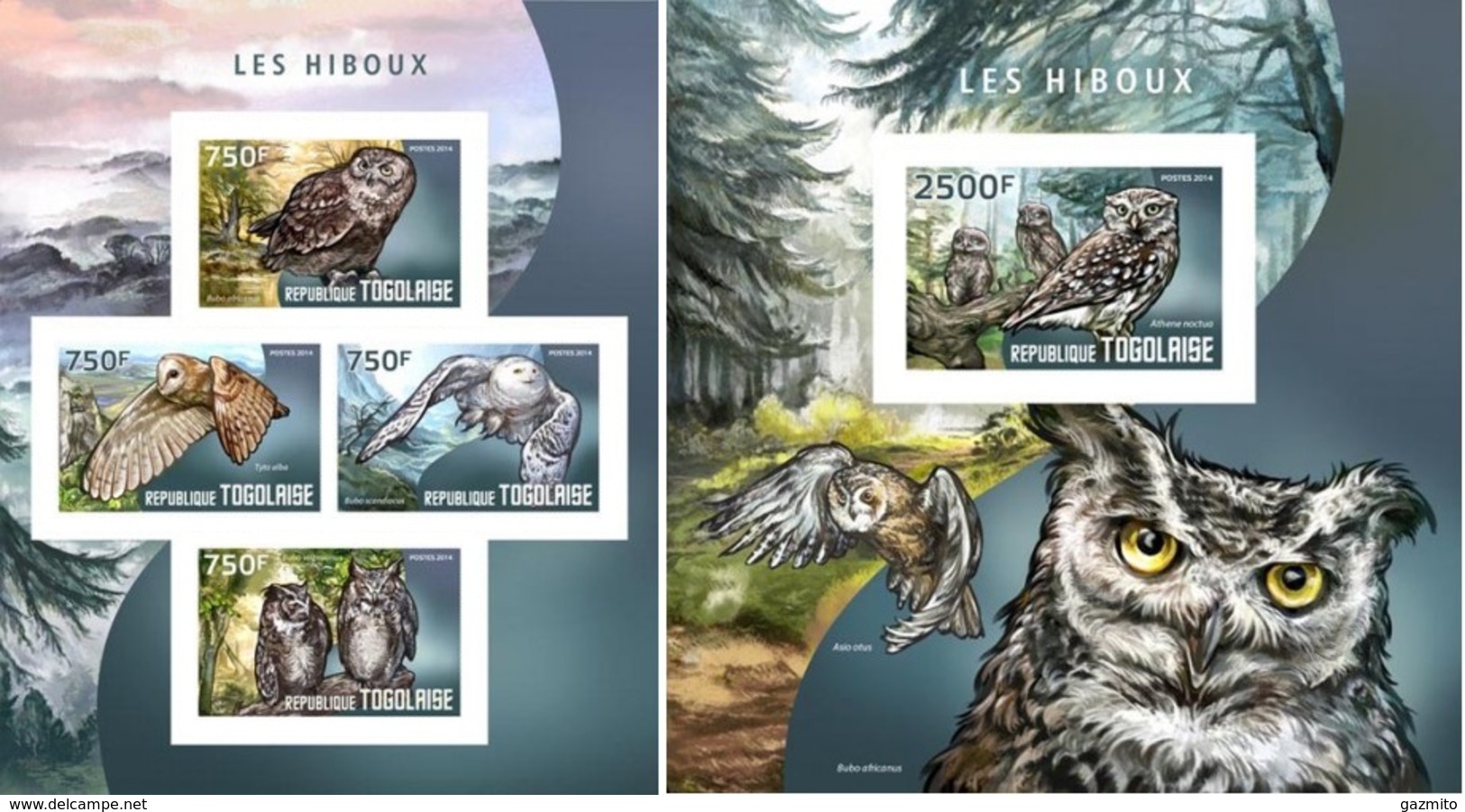 Togo 2014, Animals, Owls I, 4val In BF+BF IMPERFORATED - Togo (1960-...)