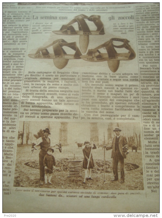 DOMENICA DELL’AGRICOLTORE 1937 SANTA MARIA DEL PIANO POLESINE ZIBELLO PARMA REGGIOLO CASTELFUSANO - Altri & Non Classificati