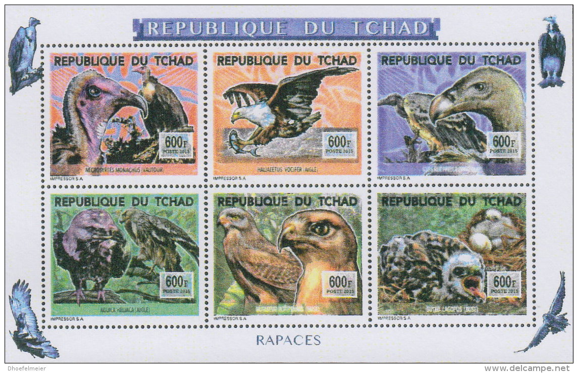 TCHAD 2016 ** Birds Of Prey Greifvögel Raubvögel Rapaces M/S - OFFICIAL ISSUE - A1641 - Adler & Greifvögel