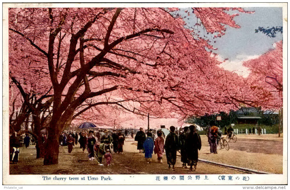 JAPON – Carte Postale De Tokyo Et De Ses Environs – Très Bon état – A Voir - Lot N° 20090 - Tokio