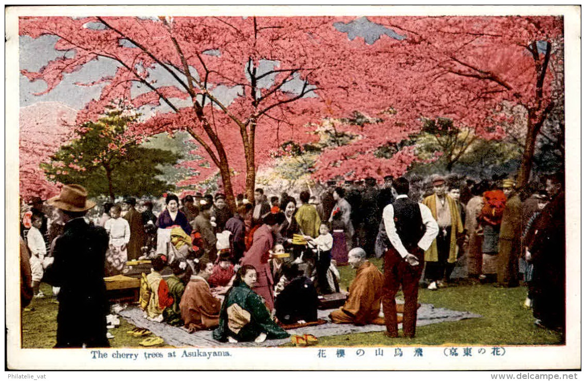 JAPON – Carte Postale De Tokyo Et De Ses Environs – Très Bon état – A Voir - Lot N° 20116 - Tokyo