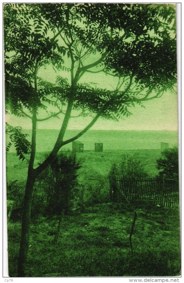 ILE D´OLERON (17) Sous Bois à La Plage De LA BREE - Très Très Rare - Carte Postée - Ile D'Oléron