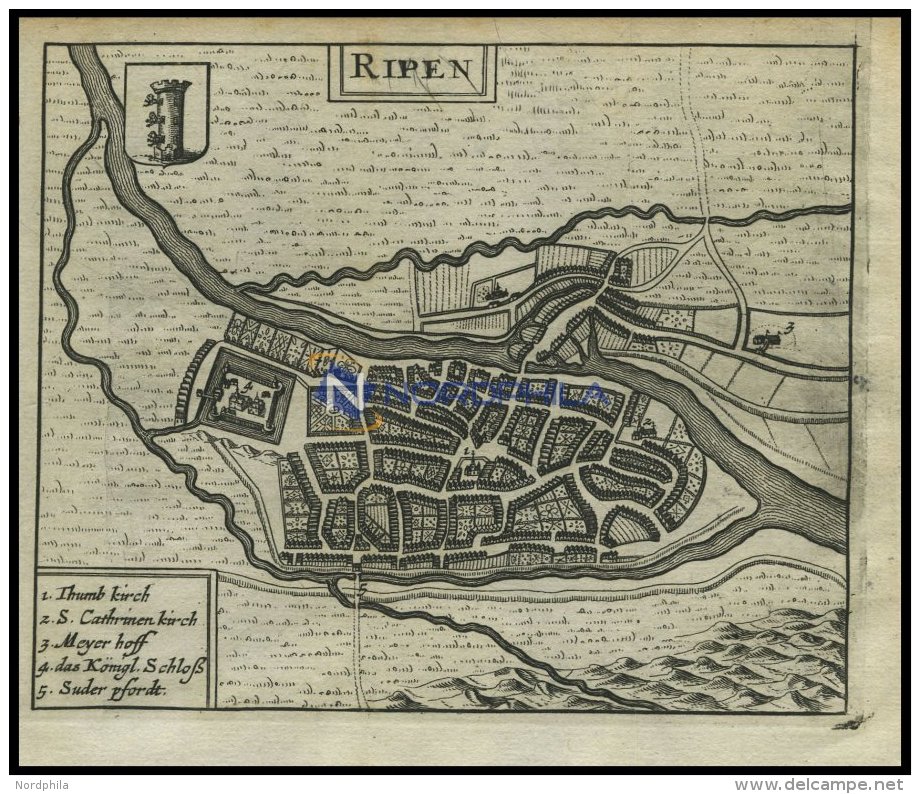 RIPEN, Stadtplan Mit Den Königlichen Schloß, Kupferstich Von Zeiller 1655 - Lithographies