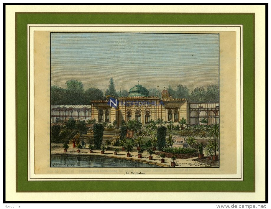 STUTTGART: Die Wilhelma, Kol. Holzstich Von Clerget Um 1880 - Lithographies