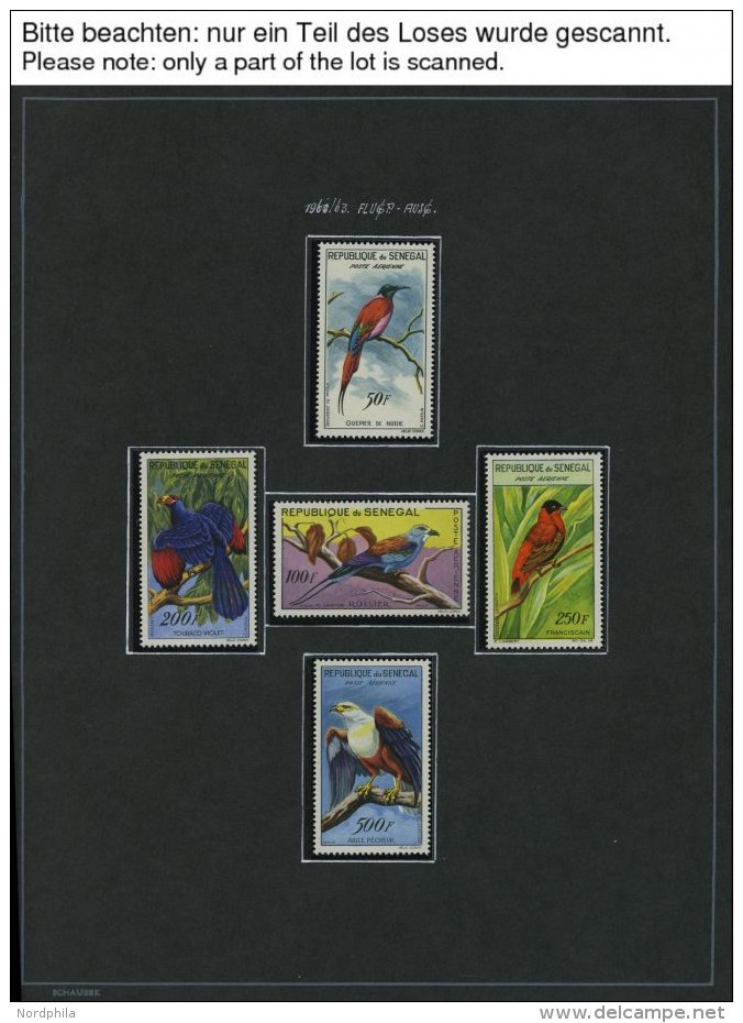 SENEGAL **, Komplette Postfrische Sammlung Senegal Von 1960-75 Mit Vielen Guten Ausgaben Und Blocks, Sauber Beschriftet - Senegal (1960-...)