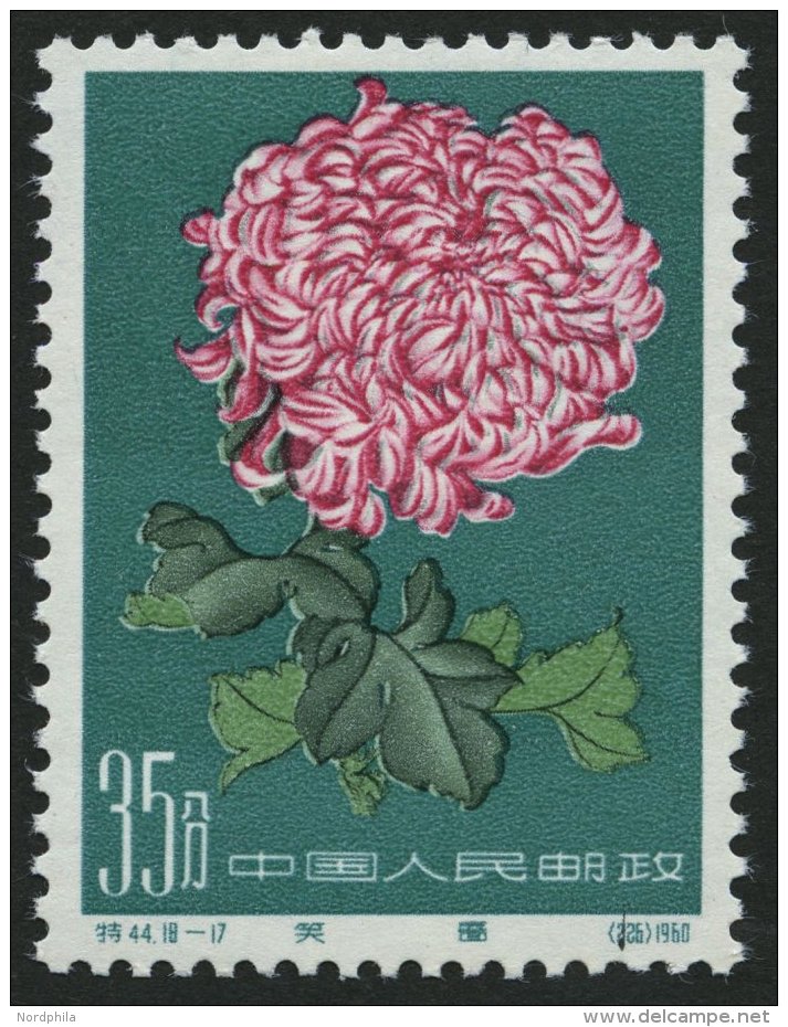 CHINA - VOLKSREPUBLIK 574 **, 1960, 35 F. Chrysanthemen, Pracht, Mi. 100.- - Autres & Non Classés