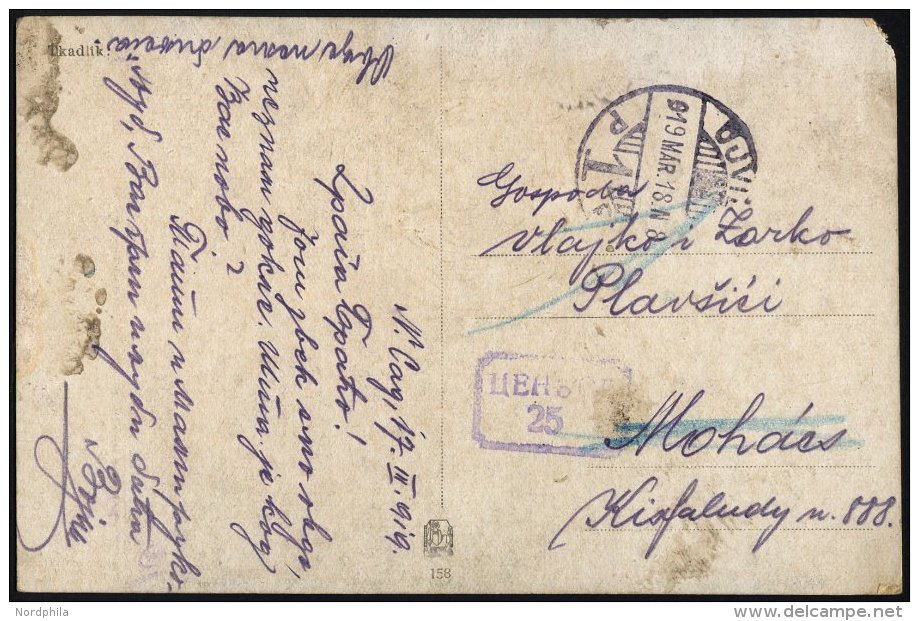 SERBIEN 1919, Serbischer Zensurstempel Aus Dem Ungarischen Ort VJVIDEK Auf Feldpost-Ansichtskarte, Feinst - Serbia