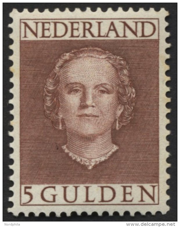 NIEDERLANDE 542 **, 1949, 5 G. Rotbraun, Gummi Minimal Fleckig Sonst Pracht, Mi. 450.- - Netherlands