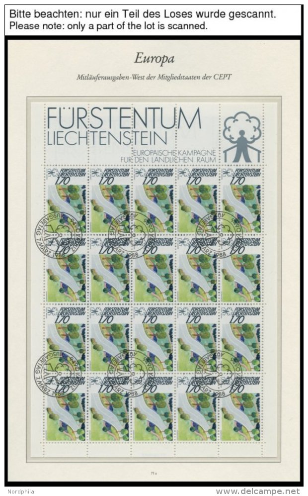 LIECHTENSTEIN 939-41KB O, 1988, Europäische Kampagne Für Den Ländlichen Raum Im Kleinbogensatz Mit Erstta - Other & Unclassified