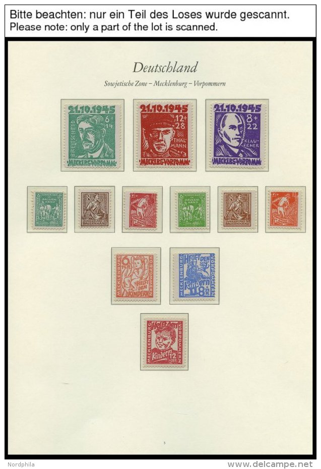 SAMMLUNGEN, LOTS **, 1945-49, Saubere Sammlung Mit Mittleren Ausgaben Und Blocks (u.a. Bl. 5X/Y Und 6) Im Borek Falzlosa - Other & Unclassified