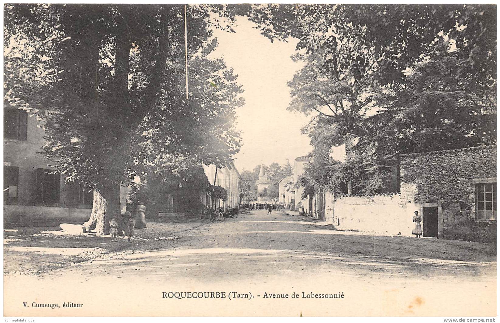 81 - TARN - Roquecourbe - Avenue De Labessonié - Roquecourbe