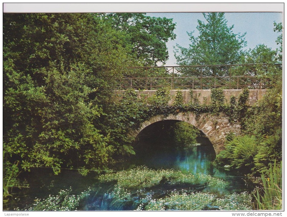 29 Finistère Plovenez Du Faou  "  Pont Ar Grossec "  Jack  N° 29 - Plonevez-du-Faou