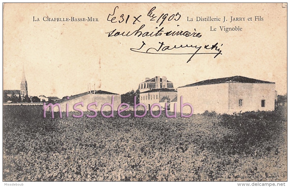 44 - La Chapelle Basse Mer - La Distillerie J. JARRY Et Fils - Le Vignoble - 1903  - 2 Scans - La Chapelle Basse-Mer