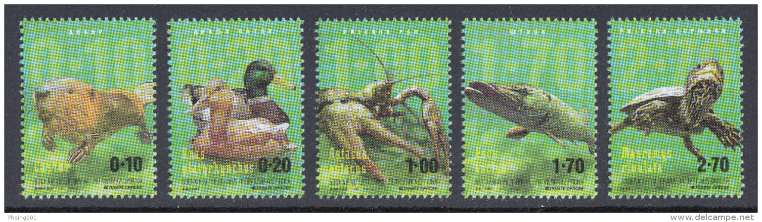 Bosnia Serbia 2016 River Fauna, Beaver, Duck, Crab, Pike, Turtles, Set MNH - Bosnien-Herzegowina