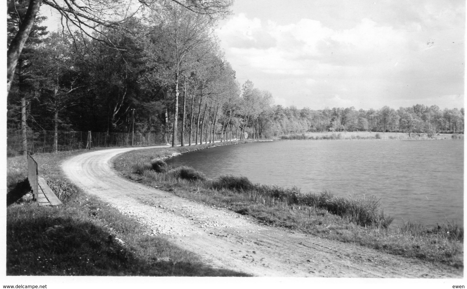 St-Sauveur-en Puisaye. L'Etang Des Barres. - Saint Sauveur En Puisaye