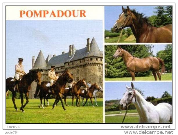 ARNAC  POMPADOUR -     Cité Du Cheval   4 Vues  -  Son Château Et Son Haras National : Chevaux - Arnac Pompadour