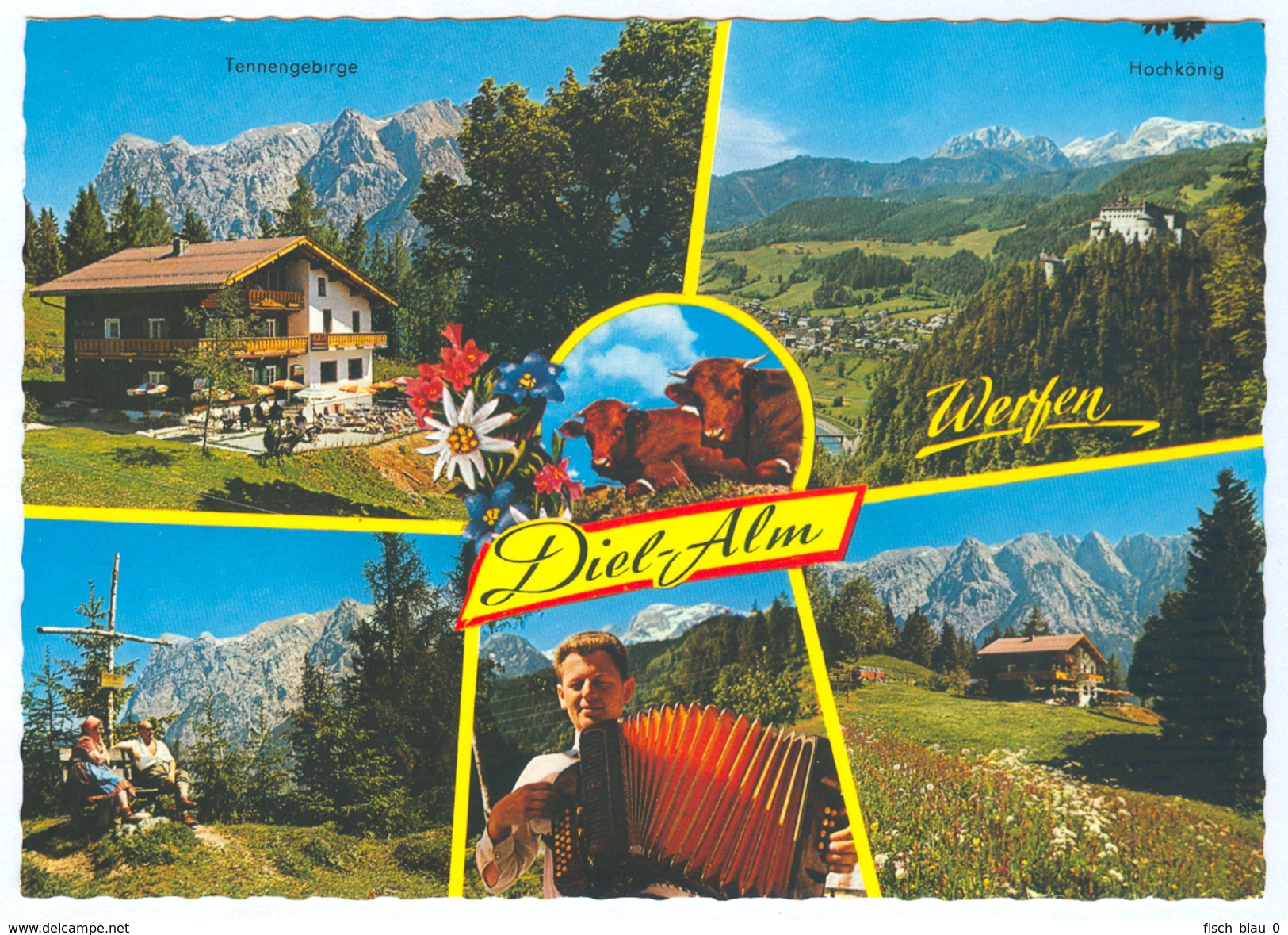 AK Salzburg 5450 Werfen Im Pongau Gasthof Diel-Alm Tennengebirge Hochkönig Dielalm Ziehharmonika L'accordéon Squeezebox - Werfen