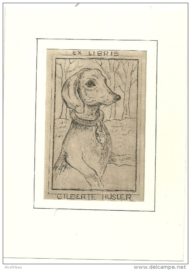 Ex-libris Gilberte Husler Chien Eau Forte Jacqueline Verbist Maanen 1986 - Ex Libris