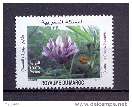 Morocco/Maroc 2010 - Flora – Flowers - Maroc (1956-...)