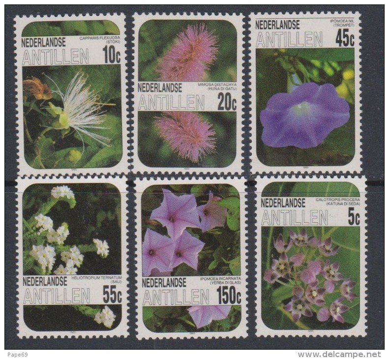 Antilles Néerlandaises N° 756 / 61  XX  Flore : Fleurs,  Les 6 Valeurs  Sans Charnière, TB - Niederländische Antillen, Curaçao, Aruba