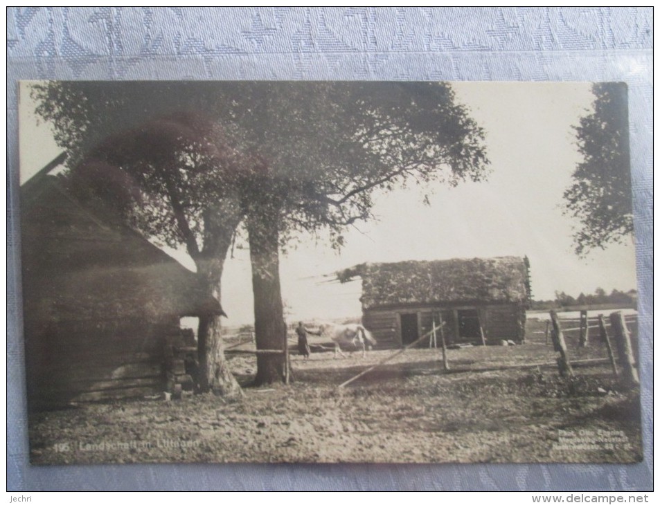 LANDSCHAFT IN LITTAUEN . CARTE PHOTO - Lituania