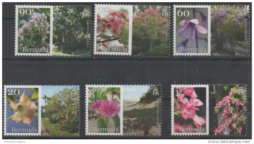 BERMUDA, 2016, MNH, BERMUDA IN BLOOM, FLOWERS, PARTIII, 6v - Other & Unclassified