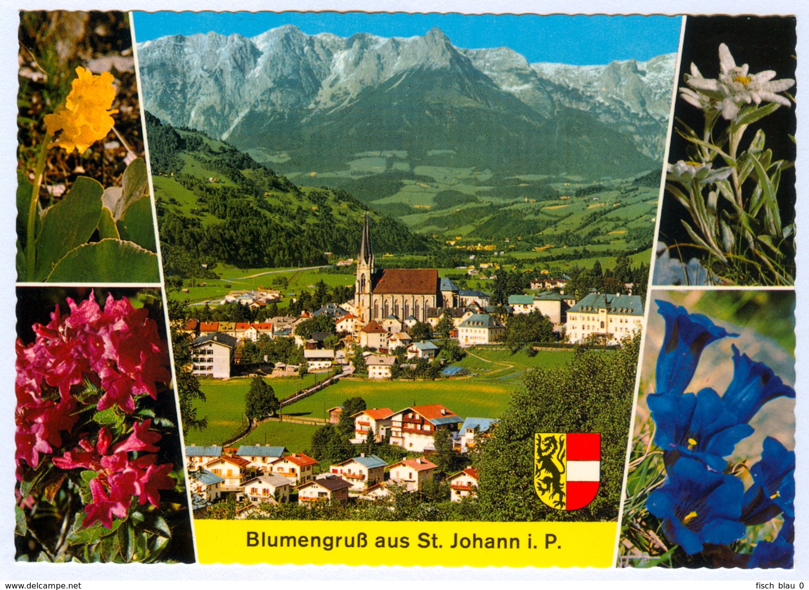 AK Salzburg 5600 St. Johann Im Pongau Blumengruß Tennengebirge Österreich Blumen Sankt Bergwelt-Verlag C. Jurischek I. - St. Johann Im Pongau