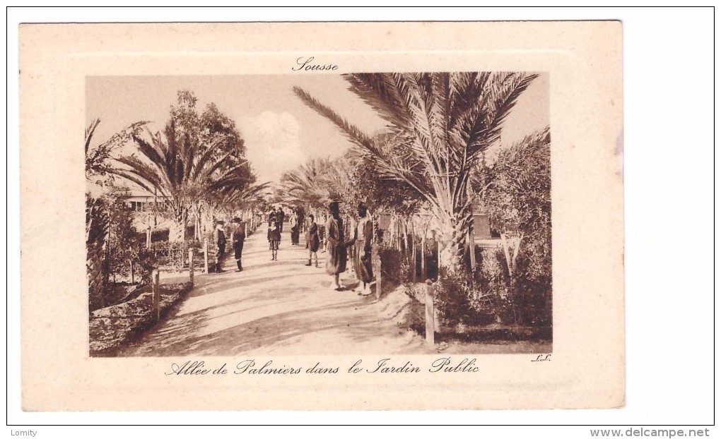 Tunisie Sousse Allée Des Palmiers Dans Le Jardin Public , Carte Non Voyagée - Tunisia