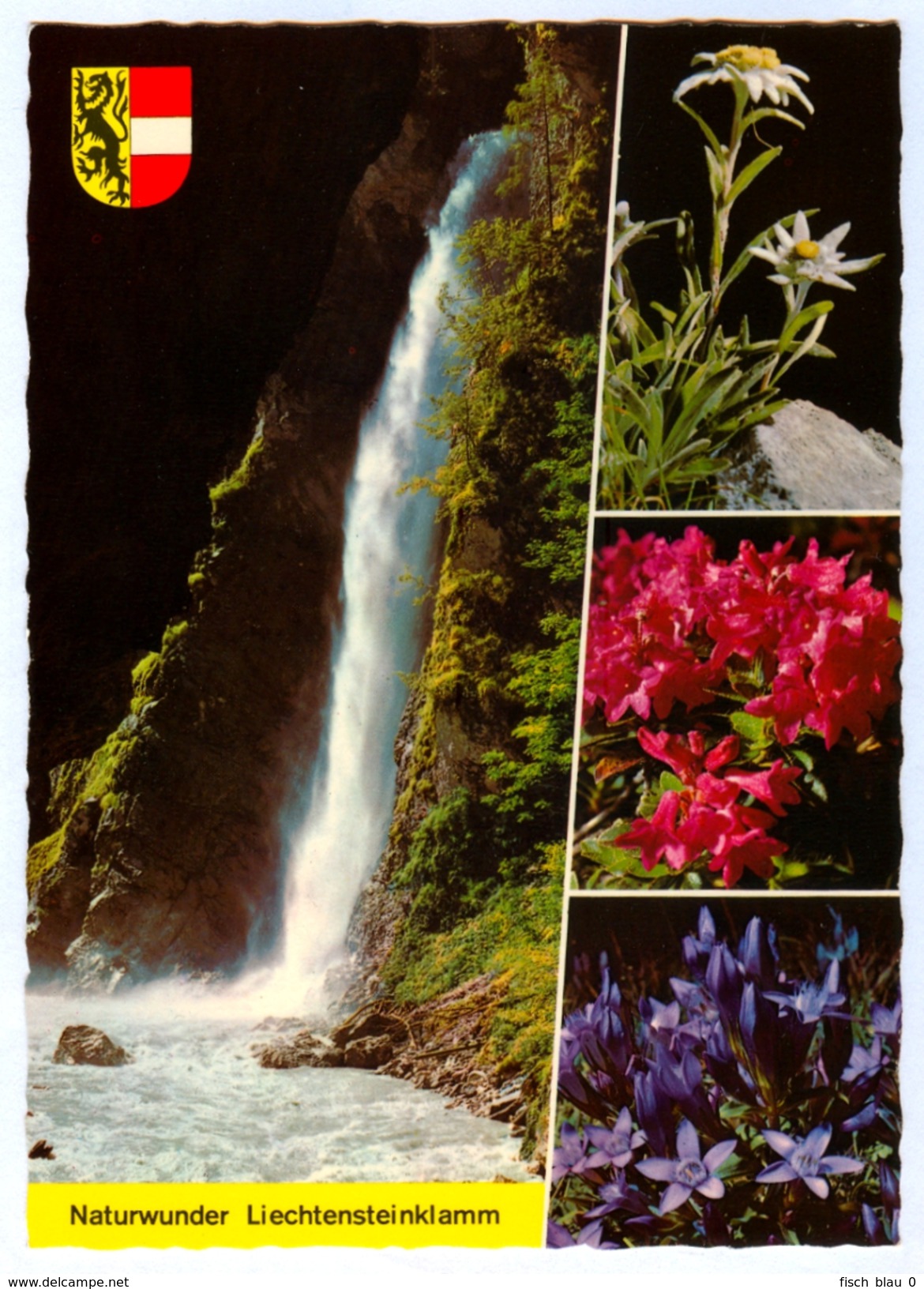 AK Salzburg 5600 St. Johann Im Pongau Liechtensteinklamm Schleierfall Blumen Liechtenstein-Klamm Österreich Austria AUT - St. Johann Im Pongau