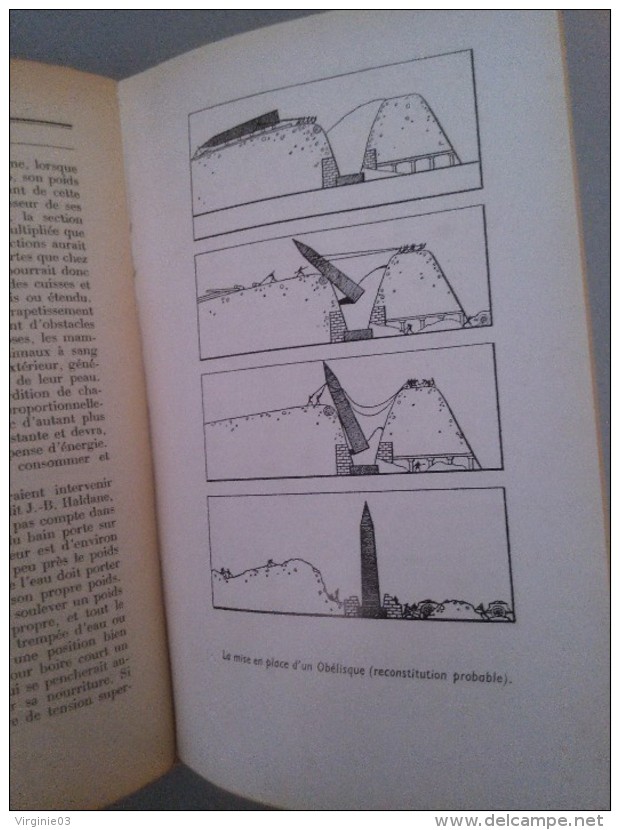 Le Livre Des Merveilles (animal,homme,matiére,végétaux,nombre,univers,art,technique,génie Humain,inconnu) Par G. Buscher - Autres & Non Classés