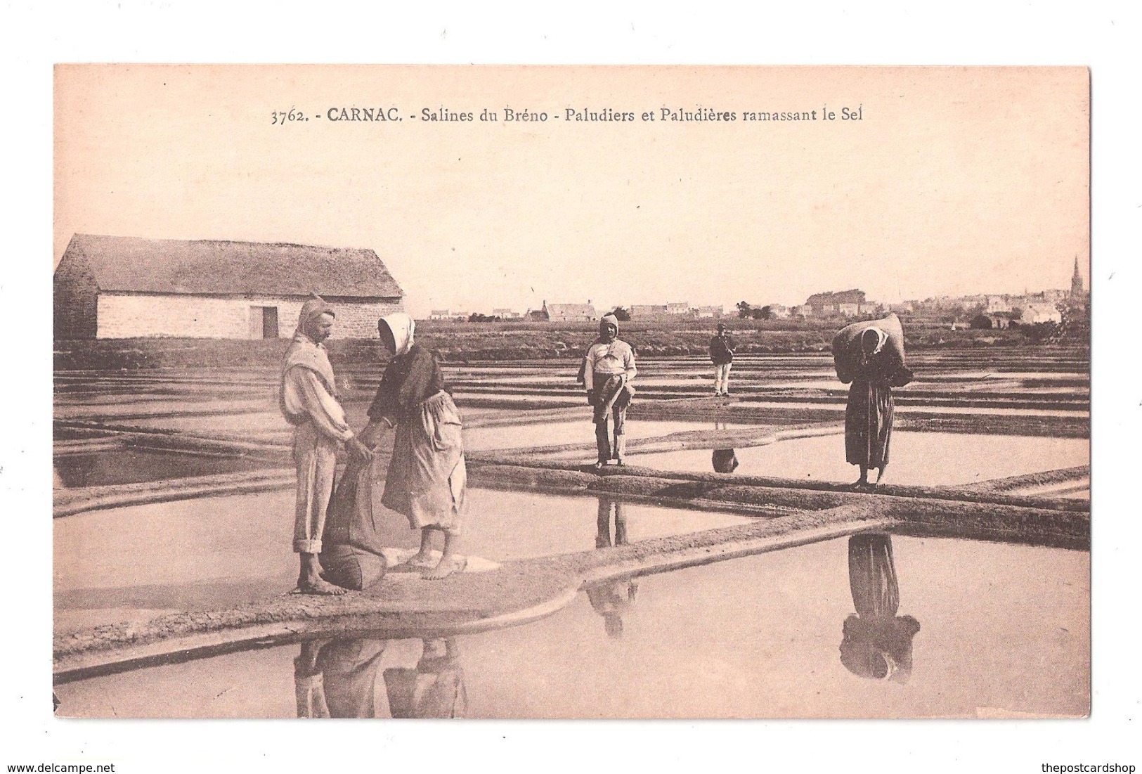 CPA 56 CARNAC. SALINES DU BRENO. PALUDIERS ET PALUDIERES RAMASSANT LE SEL  SAALT MINING INDUSTRY Unused - Carnac