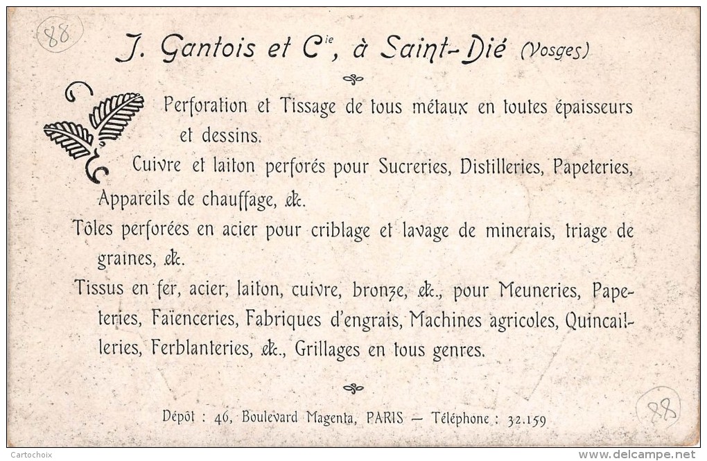 88 - St-Dié - Exploitation Du Bois - ( J.Gantois Et Cie ) - Saint Die