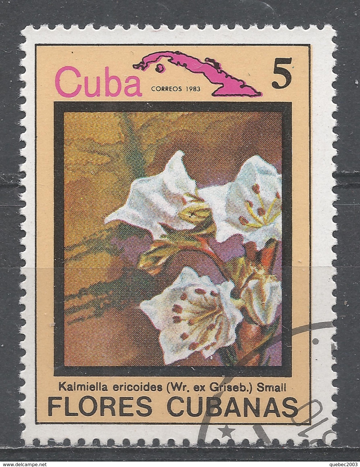 Cuba 1983. Scott #2637 (U) Flowers, Kalmiella Ericoides - Oblitérés