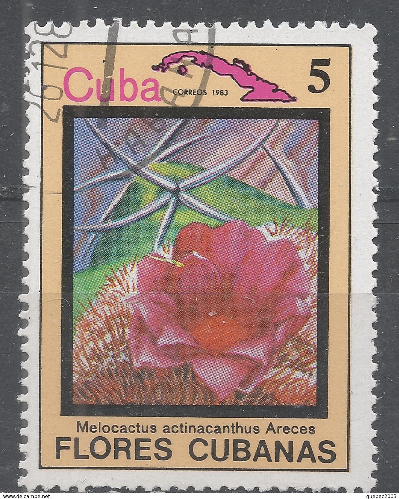 Cuba 1983. Scott #2639 (U) Flower, Melocactus Actinacanthua - Oblitérés