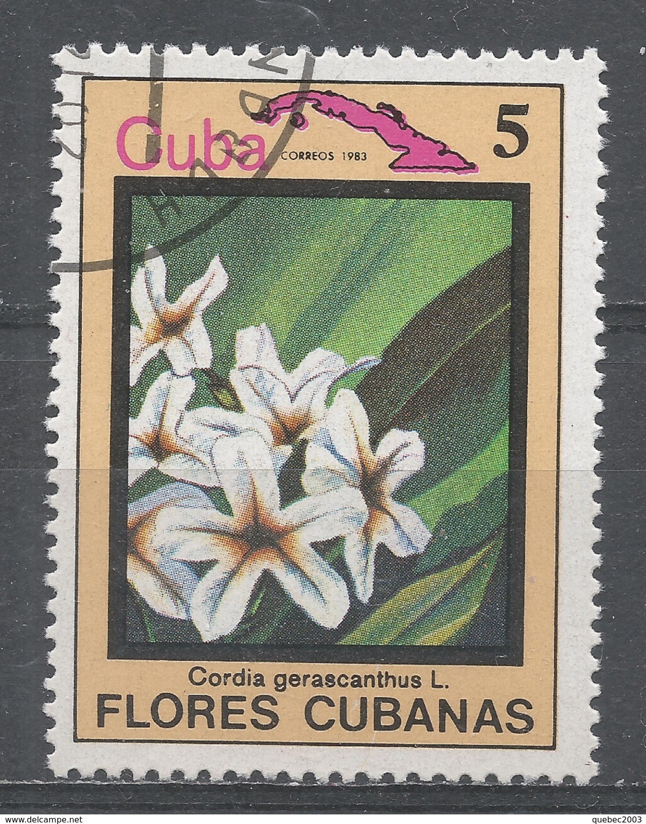 Cuba 1983. Scott #2643 (U) Flower, Cordia Gerascanthus - Oblitérés