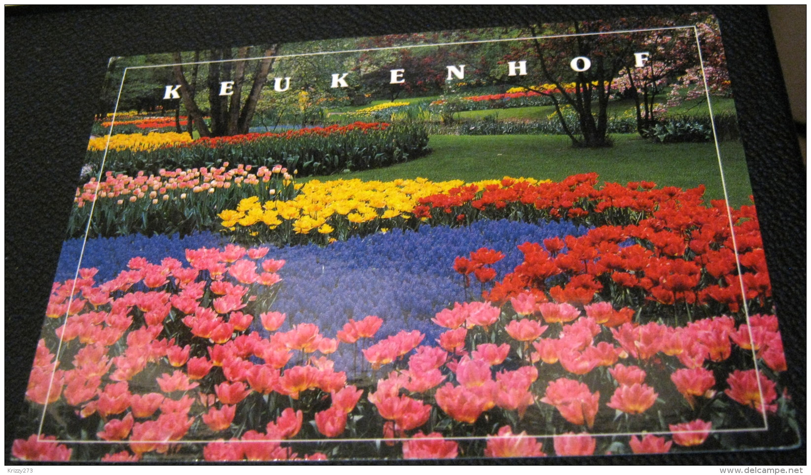 Netherlands Keukenhof Lisses Holland Paper Mill Cards - Used - Lisse