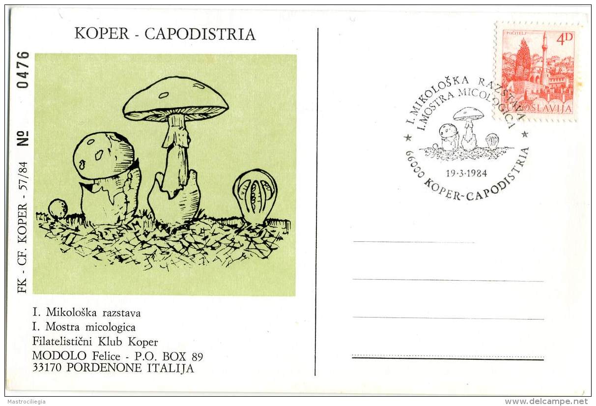 FUNGHI  Champignon  Mushrooms  Mikoloska Razstava Koper Slovenja  Mycological Exhibition  Marcofilia - Champignons