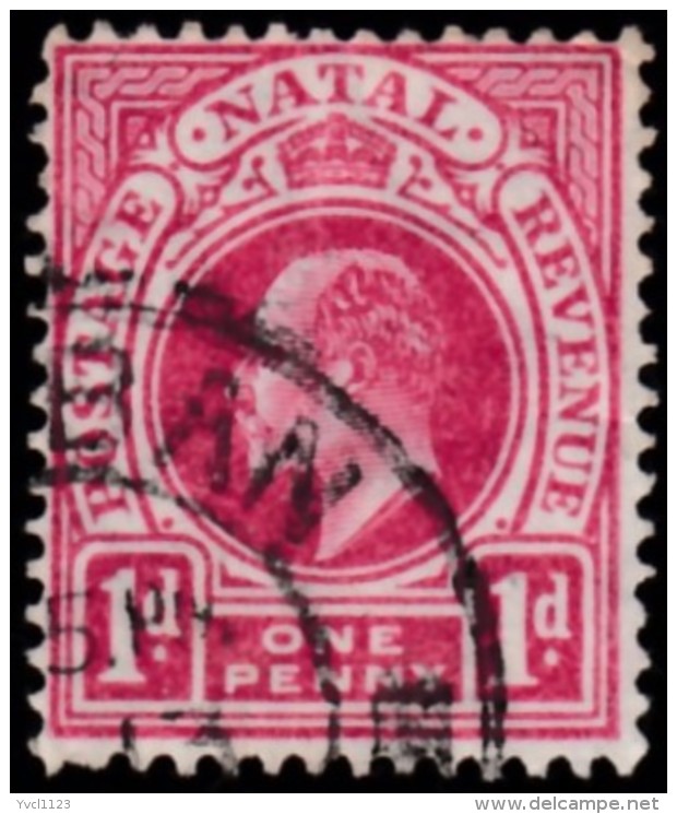 NATAL - Scott #102 King Edward VII 'Wmk. 3' (*) / Used Stamp - Natal (1857-1909)