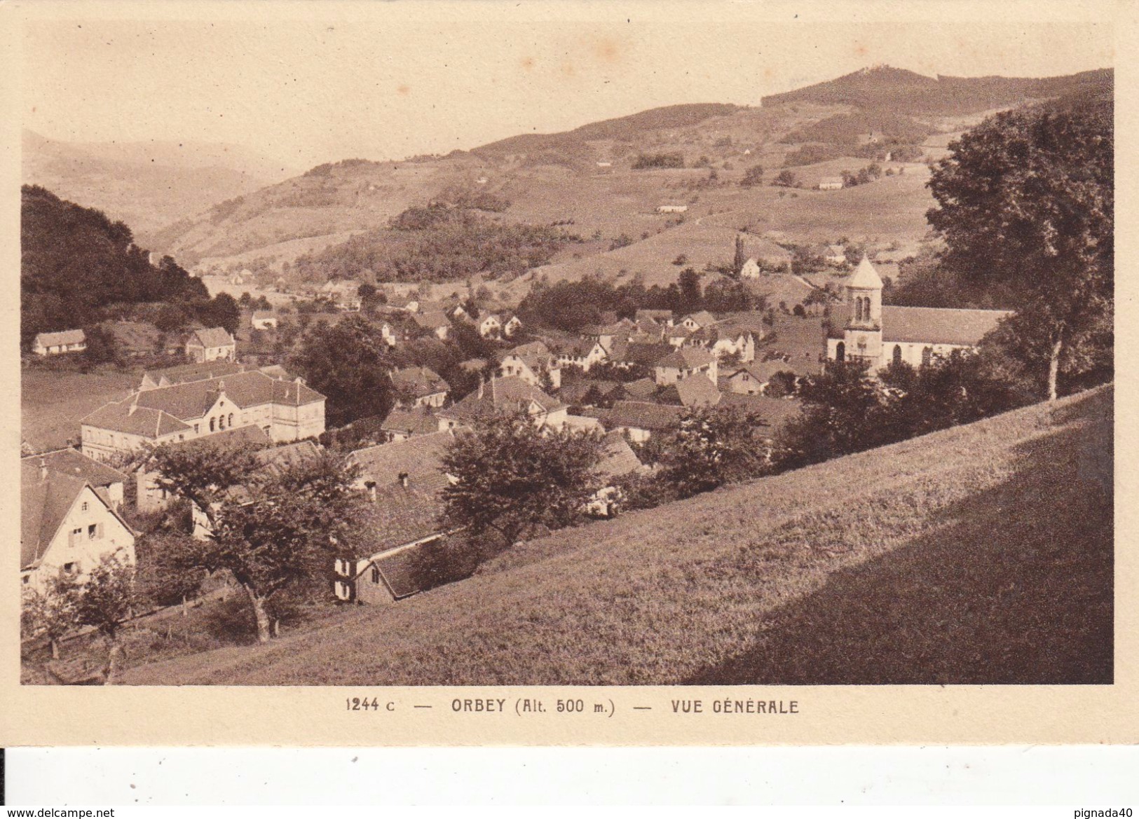 G , Cp , 68 , ORBEY (alt. 500 M.) , Vue Générale - Orbey