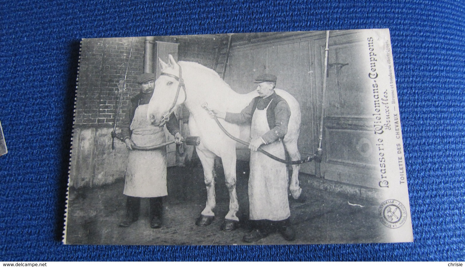 BRASSERIE WIELEMANS CEUPPENS BRUXELLES BRUSSEL METIER BEROEP PAARD CHEVAL L1930 - Straßenhandel Und Kleingewerbe