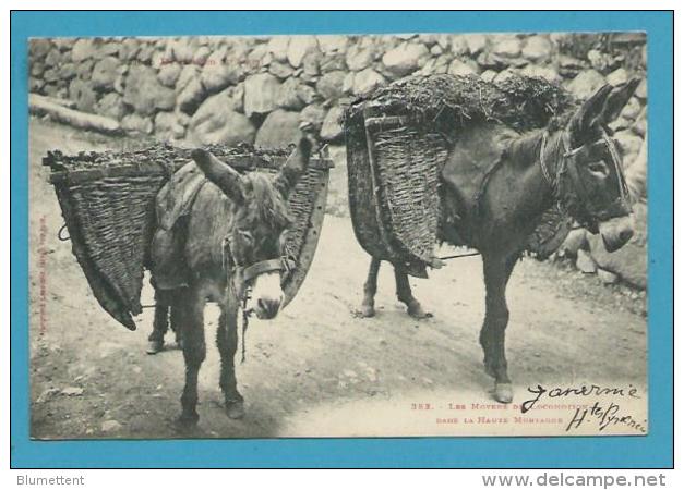 CPA 383 LABOUCHE - Les Moyens De Locomotion Couple D'ânes - GAVARNIE 65 - Gavarnie