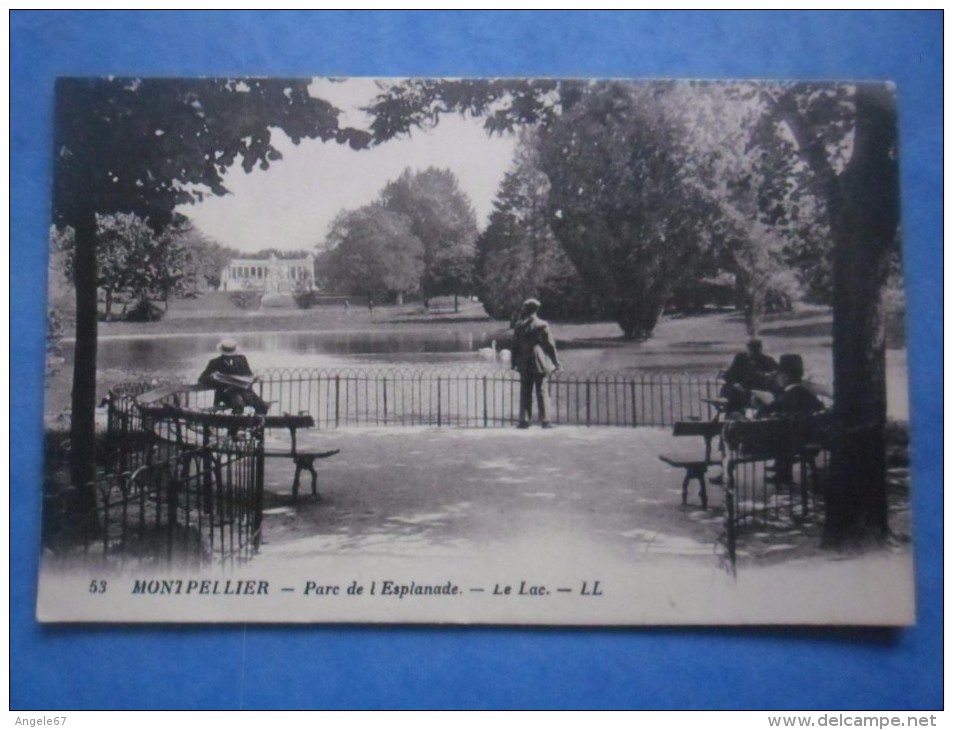 34-MONTPELLIER Parc De L'esplanade , Le Lac , Animée - Montpellier