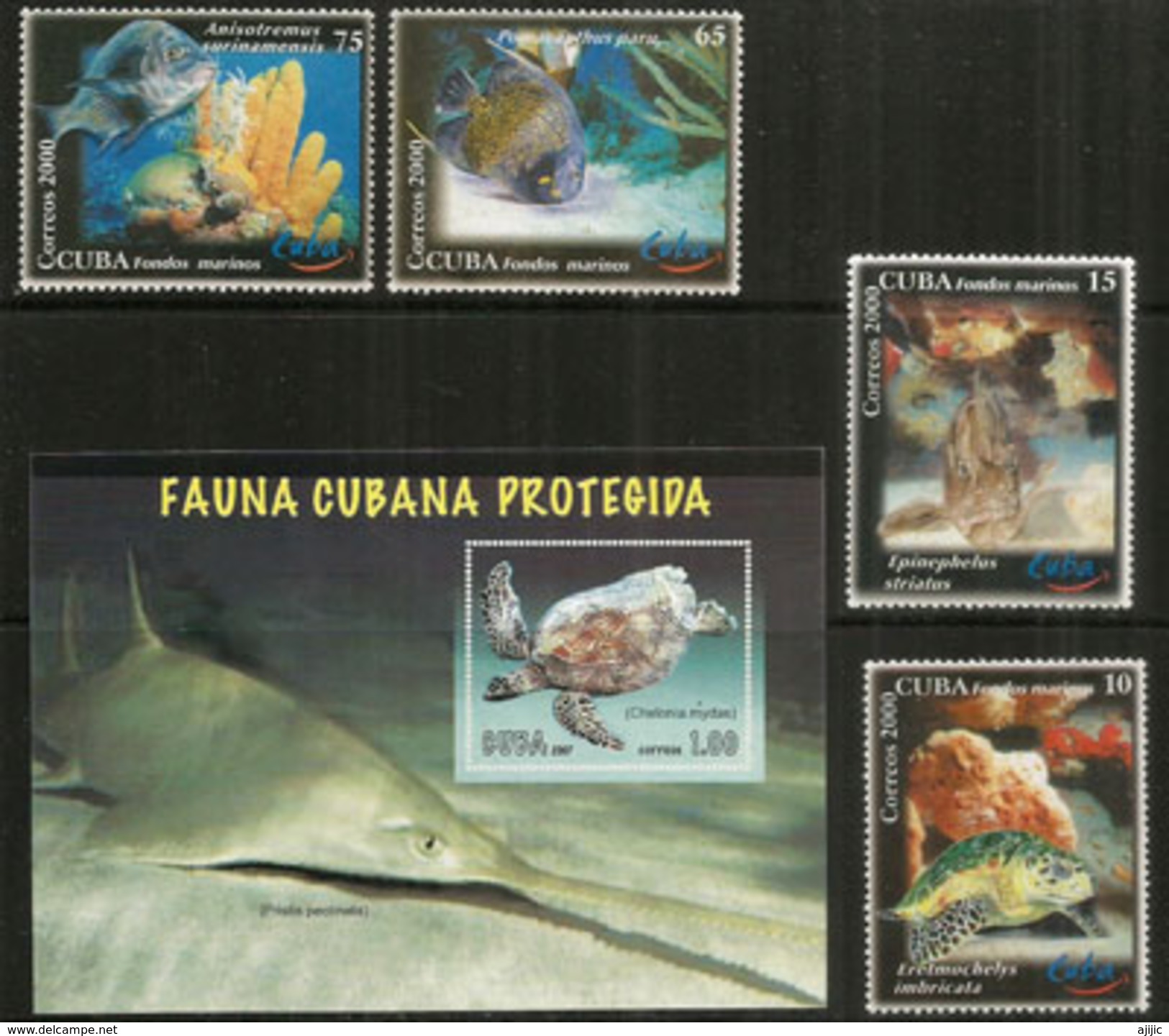 Les Fonds Marins De Cuba (faune Cubaine Protégée) Tortues,etc. Série Complète + Bloc-feuillet Neuf ** - Vita Acquatica