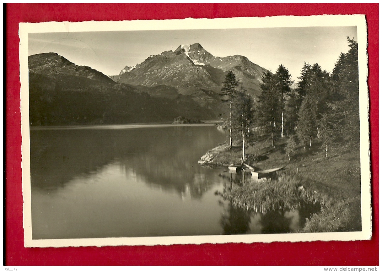 FIR-40  Sils Im Engadin Piz Dela Margna. Gelaufen In 1953 - Sils Im Engadin/Segl