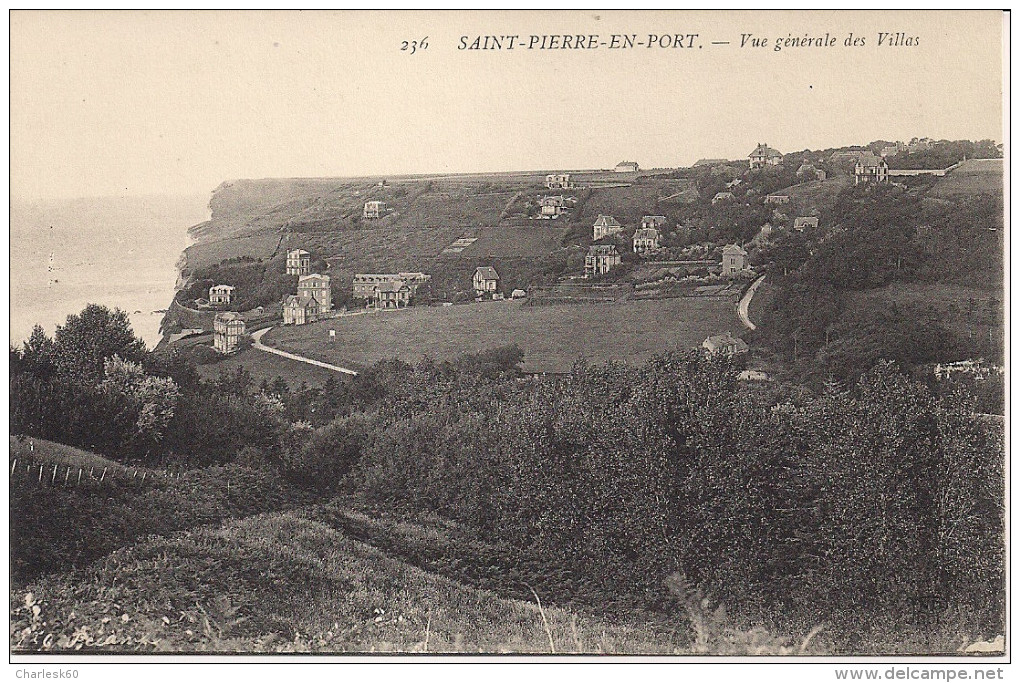 CPA - 76 - Saint Pierre En Port - Vue Générale Des Villas - N° 236 - Fécamp