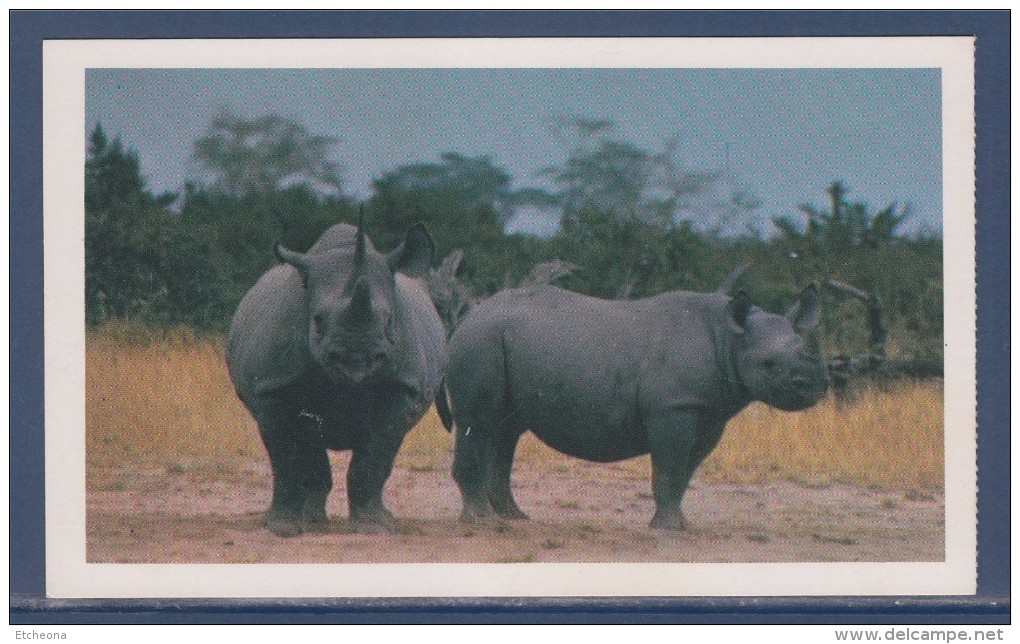 = Carte Postale Rhinocéros, Safari Prisunic, De La Famille Des Bovins, Mammifère Herbivore Famille Des Rhinocerotidae - Rhinozeros