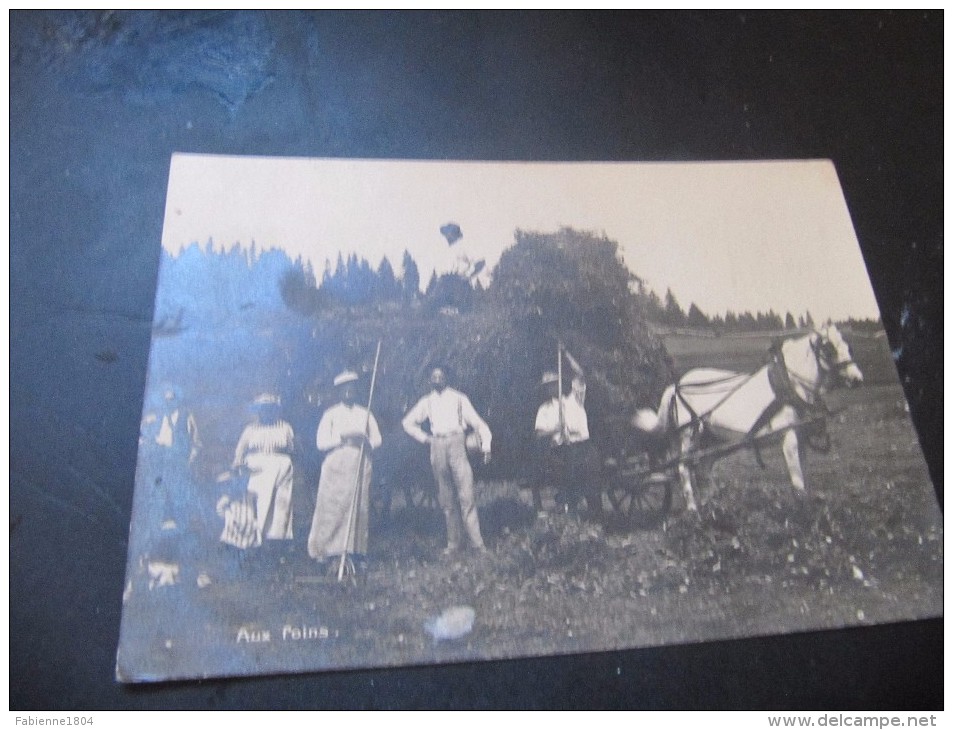 CARTE PHOTO Aux Foins CHATEAU DU VALAIS SUISSE  NON LOCALISE ?? ANIMEE .... ATTELAGE PAYSANS - Autres & Non Classés