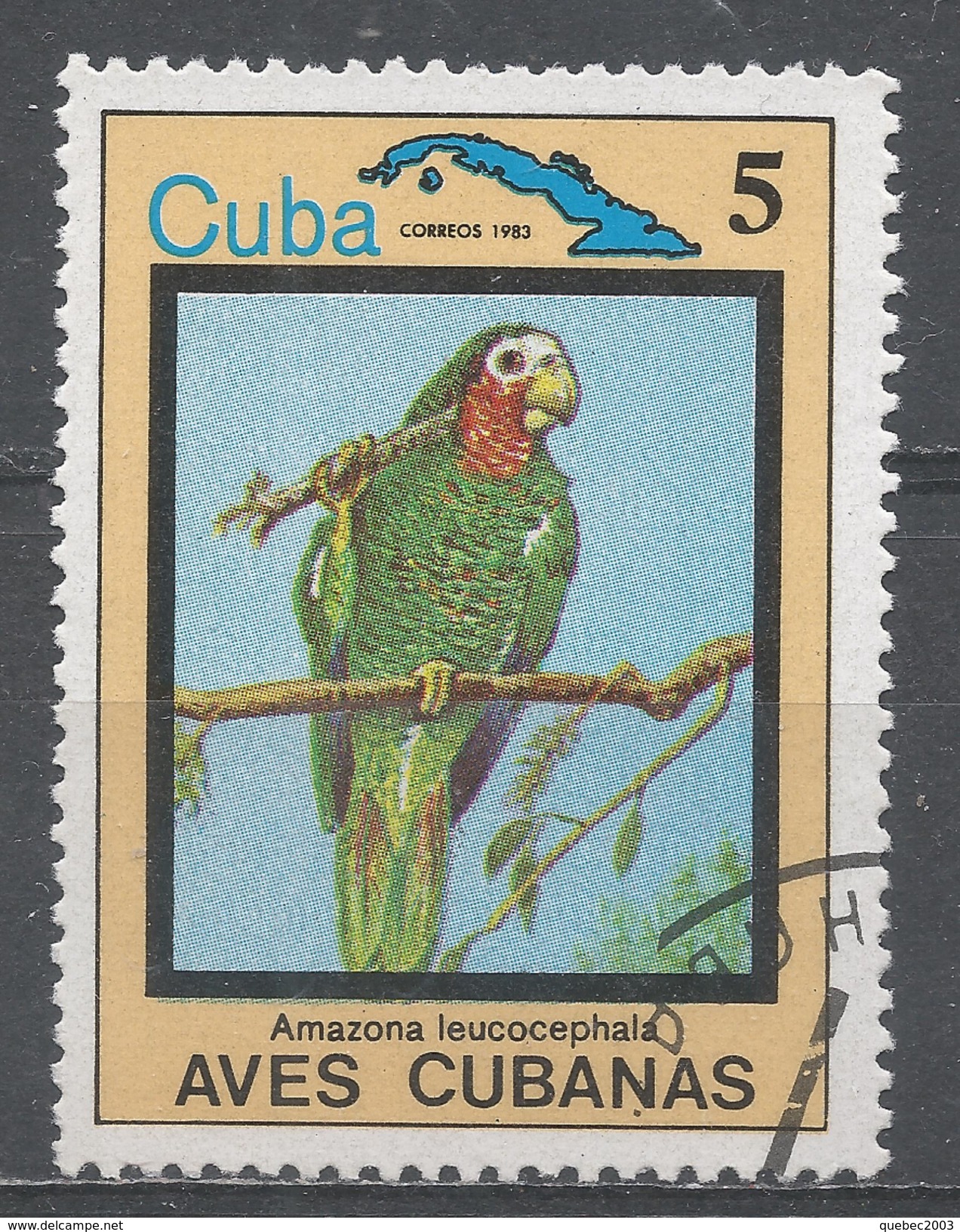 Cuba 1983. Scott #2652 (U) Bird, Amazona Leucocephala - Oblitérés