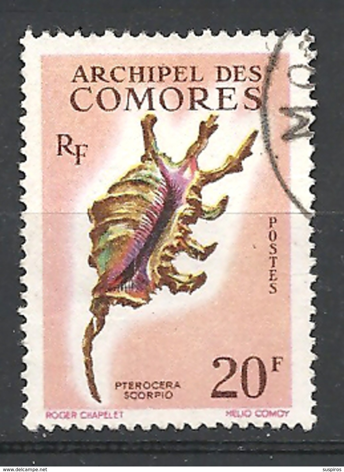 COMORES   1962 Seashells    USED YVERT 23 -Lambis Scorpio - Used Stamps